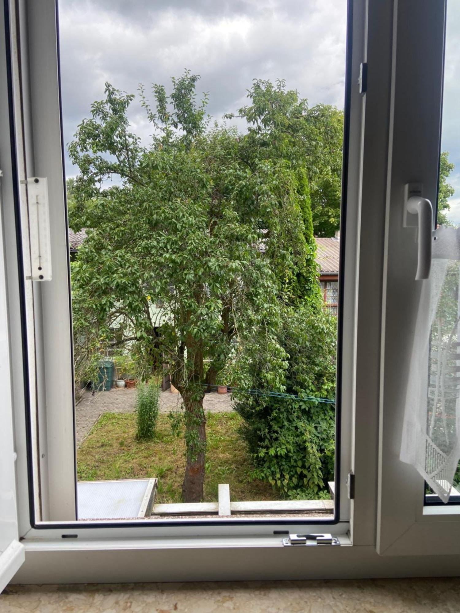 Stadtzentrumnahe Wohnung An Der Gruenen Aue, Kostenfreier Parkplatz Фульда Екстер'єр фото